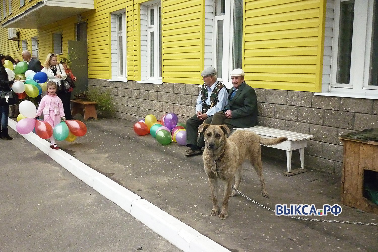 Преданность и любовь в его глазах я никогда не забуду...